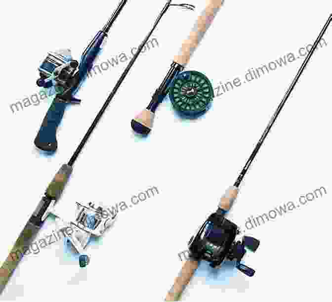 A Collection Of Fishing Rods, Reels, And Lures, Representing The Variety Of Tackle Discussed In The Guide Iola Allen County Kansas Fishing Floating Guide Book: Complete Fishing And Floating Information For Allen County Kansas (Kansas Fishing Floating Guide Books)