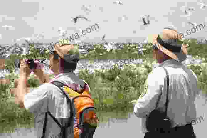 A Diverse Group Of People Of Color Enjoying A Birdwatching Expedition In A Beautiful Natural Setting Birding For Everyone: Encouraging People Of Color To Become Birdwatchers