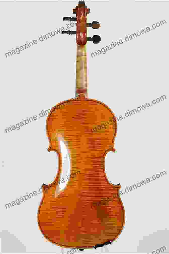 A Finely Crafted Violin, Its Elegant Curves And Intricate Details A Testament To The Art Of Instrument Making. Instruments And The Imagination (Princeton Legacy Library 311)