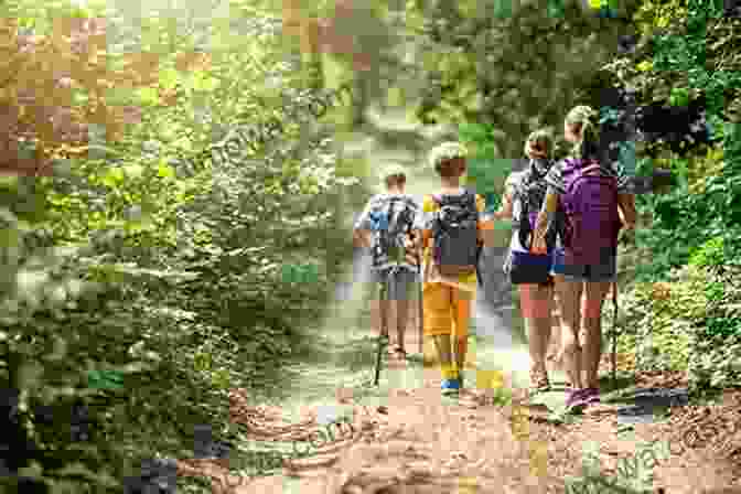 A Group Of Hikers Walking On A Trail In The Woods Hittin The Trail: Day Hiking Wisconsin And Minnesota Interstate State Parks (Hittin The Trail Wisconsin Minnesota)