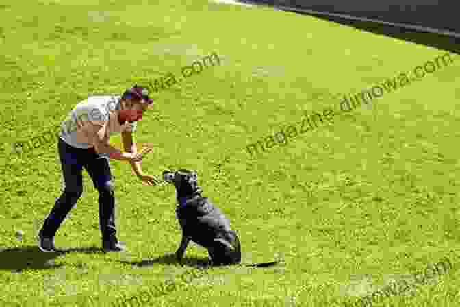 A Man Training His Puppy The Top 10 Dog Training Mistakes To Avoid: A Practical Easy To Follow Approach To Obedience Training