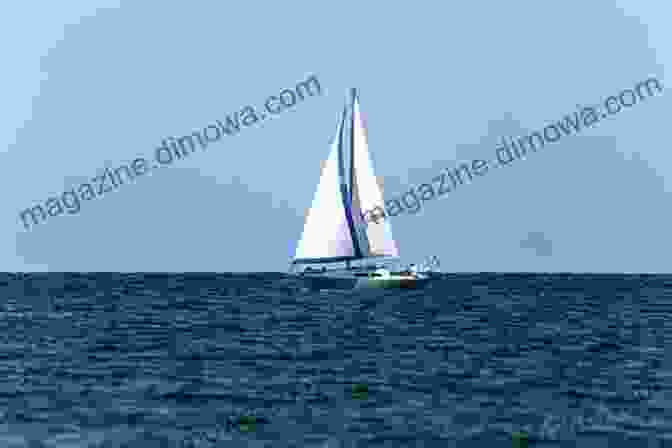 A Photo Of A Sailboat Sailing On Lake Ontario. Acton Ontario In Colour Photos: Saving Our History One Photo At A Time (Cruising Ontario 84)