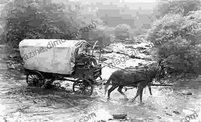 A Sunset Over The Oregon Trail, With A Wagon Train In The Foreground Minnow And Rose: An Oregon Trail Story (Tales Of Young Americans)