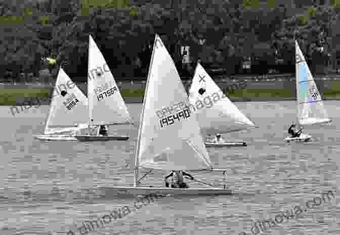 A Thrilling Shot Of A Group Of Topper Sailboats Lined Up At The Starting Line, Their Sails Billowing In Anticipation The Topper Book: Topper Sailing From Start To Finish