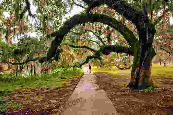 A Tranquil Scene In New Orleans' City Park, With A Lake, Trees, And People Relaxing On The Grass. New Orleans Travel Guide: An Easy Guide To Exploring The Top Attractions Food Places Local Life And Everything You Need To Know