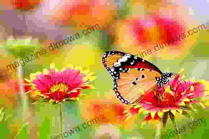 A Vibrant Butterfly Perched On A Colorful Flower Never Hug A Bug: Funny Rhymes And Insect Facts