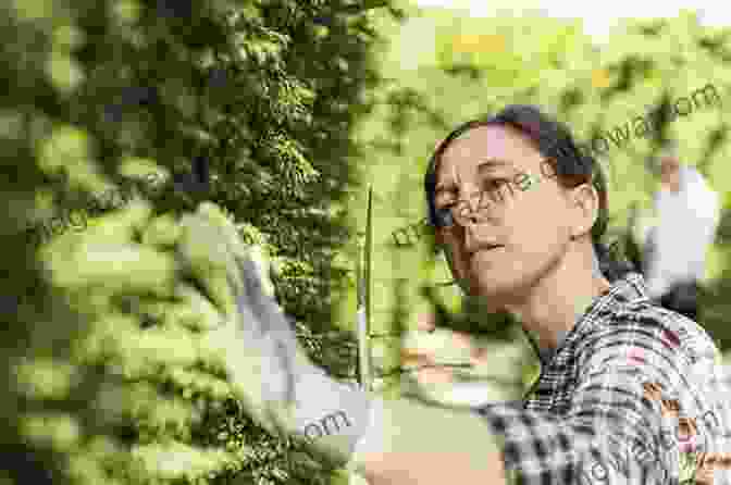 A Woman Conservationist Examining A Plant In The Forest Outdoor Women S Hall Of Fame: Premier Edition