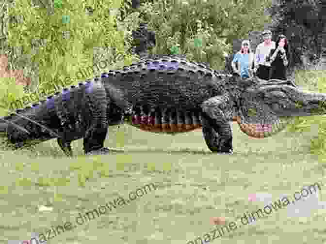 A Young Boy With A Sword Stands Beside A Large Crocodile In A Jungle Setting Ra The Mighty: The Crocodile Caper