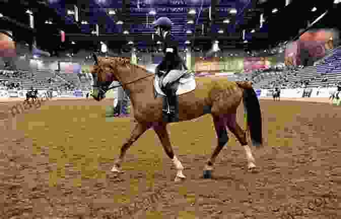 A Young Rider Jumping A Horse In An IEA Competition A Parent S Guide To The Interscholastic Equestrian Association