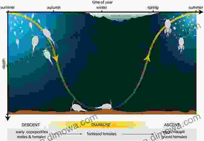 Adaptive Traits Illustration Diel Vertical Migration Of Zooplankton In Lakes And Oceans: Causal Explanations And Adaptive Significances