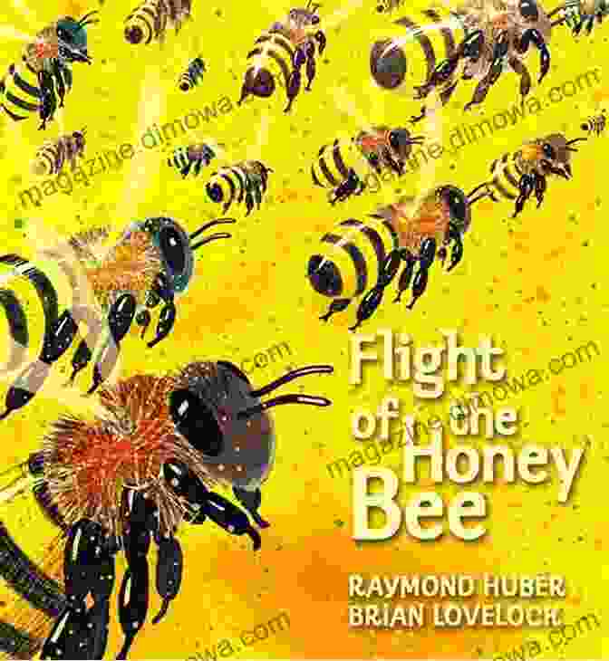 Age Of Bees Book Cover Featuring A Swarm Of Bees In Flight Age Of Bees John Motson