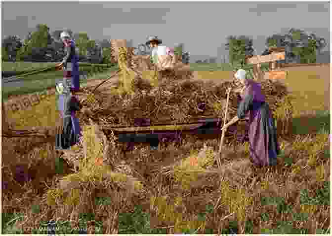 Amish Family Working On A Farm An Amish Patchwork: Indiana S Old Free Downloads In The Modern World (Quarry Books)