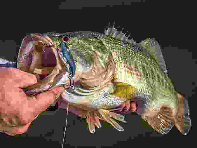 An Image Of An Angler Holding A Largemouth Bass Caught In Dallas County Dallas County Iowa Fishing Floating Guide Book: Complete Fishing And Floating Information For Dallas County Iowa (Iowa Fishing Floating Guide Books)