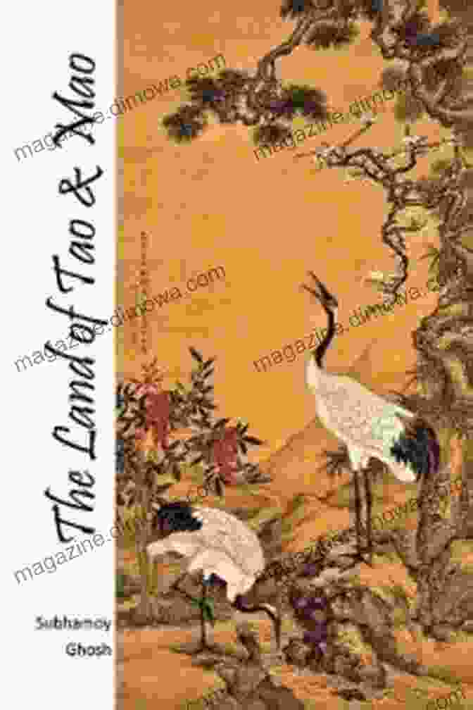 Book Cover Of The Land Of Tao Mao, Depicting A Young Boy And A Wise Old Man Standing In A Lush Forest The Land Of Tao Mao