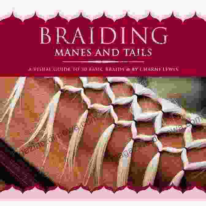 Book Cover Of World Class Braiding Manes Tails World Class Braiding Manes Tails: A Tack Trunk Reference Guide