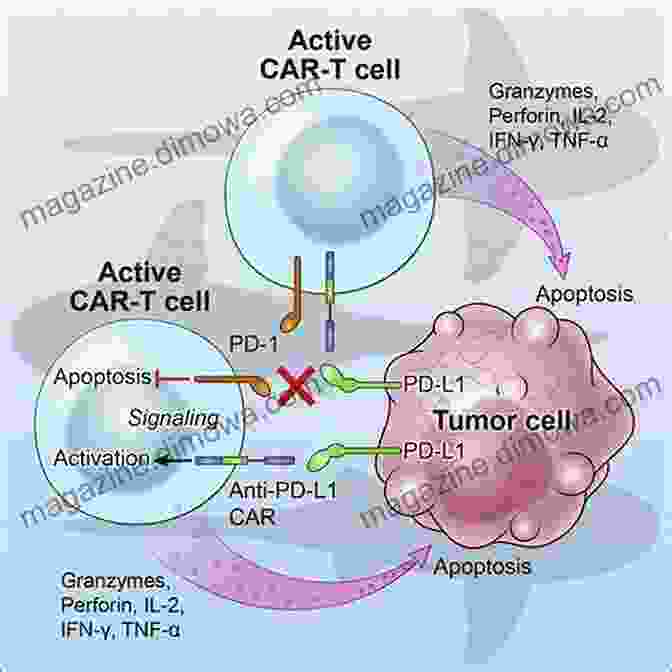 CAR T Cells Targeting Cancer Cells Current Aspects Of Flavonoids: Their Role In Cancer Treatment