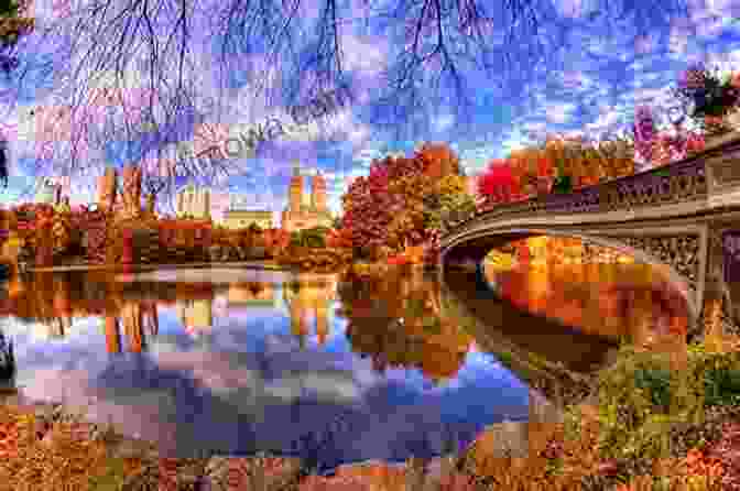 Central Park In Autumn Going Into Town: A Love Letter To New York