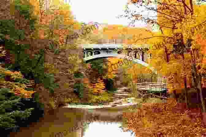 Charming Canal Bridge Over Tranquil River Meandering On Rivers And Canals In Devon (Meandering Walking Series)