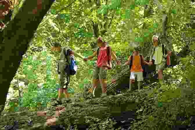 Children Exploring A Lush Forest Pony Scouts: The Camping Trip (I Can Read Level 2)