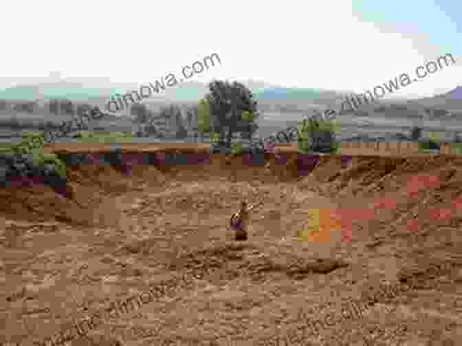 Close Up Of A Bomb Crater In Laos, Overgrown With Grass And Wildflowers Bombs And Butterflies: Over The Hill In Laos