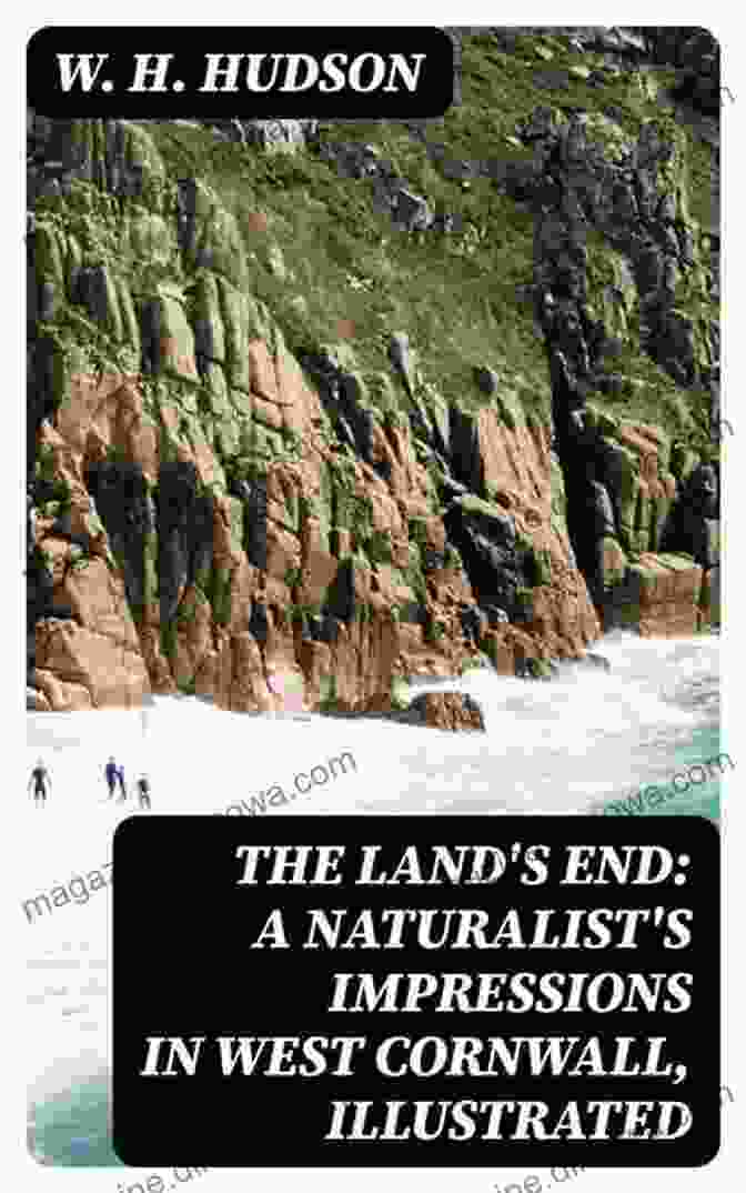 Cover Of 'The Land's End Naturalist: Impressions In West Cornwall Illustrated' By Henry Brougham Guppy The Land S End A Naturalist S Impressions In West Cornwall Illustrated