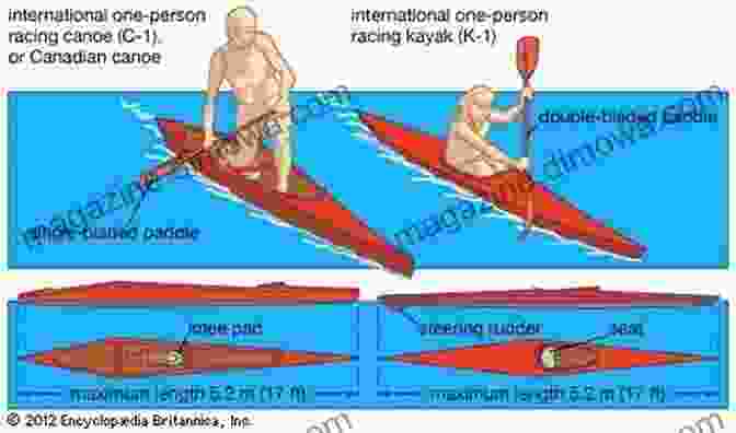 Diagram Illustrating The Rules Of Canoe Kayak Sprint Unofficial 2024 Olympic Guides: USA Canoe/Kayak Sprint