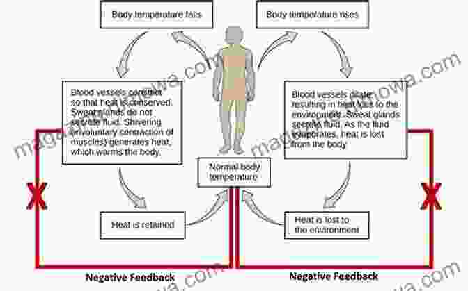 Diagram Of Gaia's Defense Mechanisms, Such As The Regulation Of Temperature, PH, And Atmospheric Composition James Lovelock: In Search Of Gaia