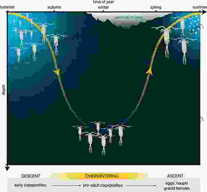 Evolutionary Biology Timeline Diel Vertical Migration Of Zooplankton In Lakes And Oceans: Causal Explanations And Adaptive Significances