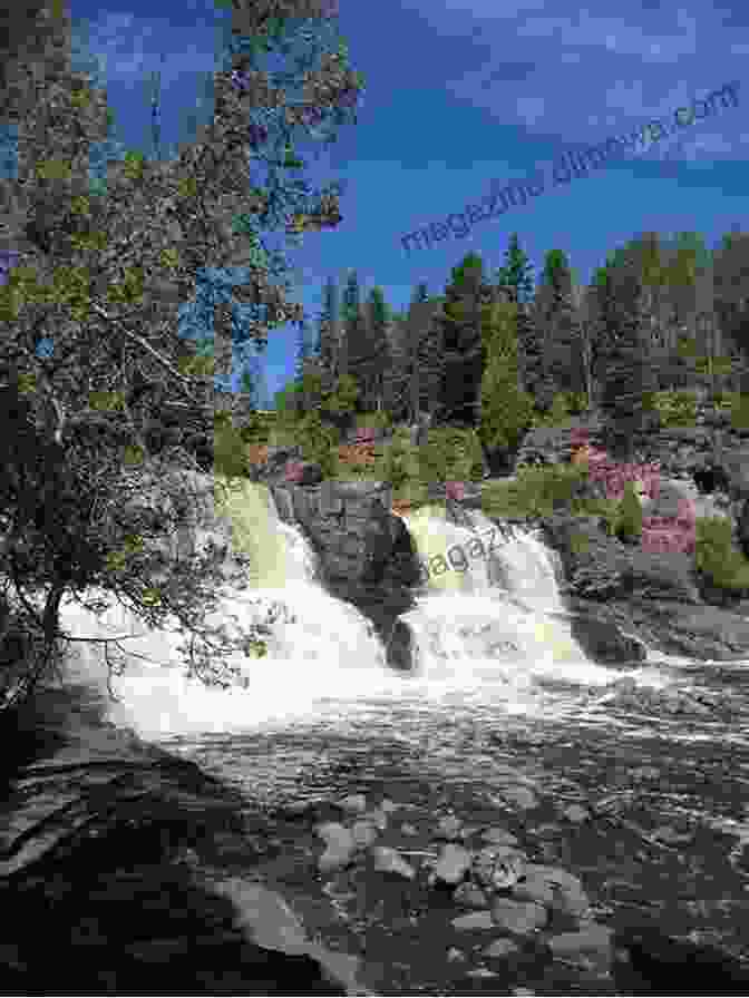 Forest Trail Day Hiking Trails Of Gooseberry Falls State Park (Hittin The Trail: Minnesota)