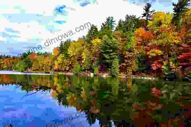 Gatineau Park In Ottawa TEN FUN THINGS TO DO IN OTTAWA