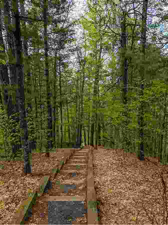 Governor Knowles State Forest, Polk County, Wisconsin Hittin The Trail: Day Hiking Polk County Wisconsin (Hittin The Trail Wisconsin)