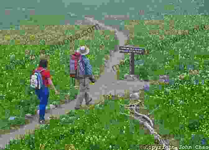 Hikers Admiring A Field Of Wildflowers Minnesota S Best Wildflower Hikes Rob Bignell