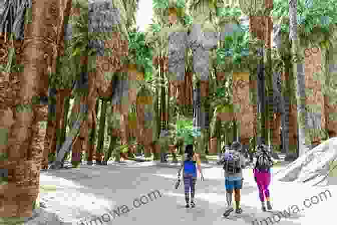 Hikers Traverse A Trail In Indian Canyons, Surrounded By Towering Palm Trees And Vibrant Desert Flora. Day Hiking Trails Of Palm Springs And The Coachella Valley