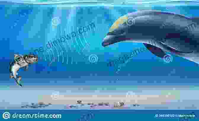 Illustration Of Dolphin Echolocation, Showcasing Sound Waves Emitted From The Blowhole And Bouncing Off Underwater Objects. Dolphins Facts And Information: Fun And Amazing Facts About Dolphin