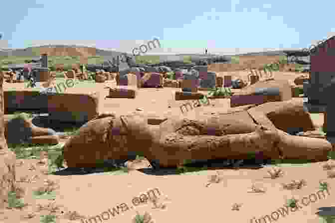 Image Of Excavations At The Ancient City Of Tanis The Treasure Of Maria Mamoun