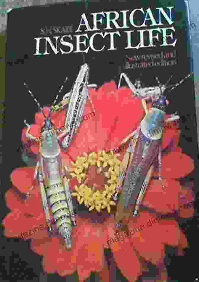 Insectopedia Book Cover: A Vibrant Tapestry Of Insects, Showcasing The Diversity Of Southern African Insect Life. Insectopedia The Secret World Of Southern African Insects