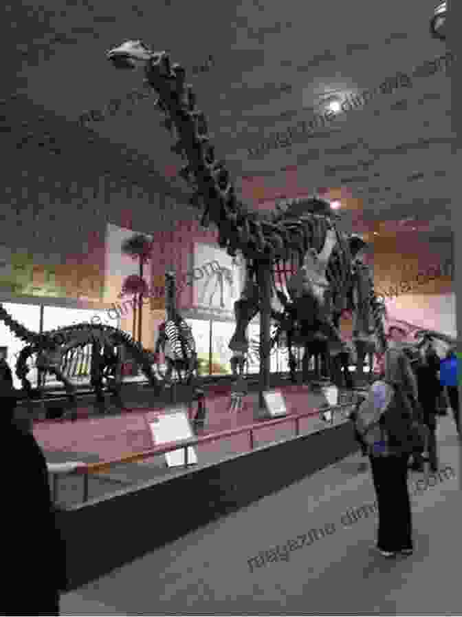 Interactive Exhibits And Dinosaur Skeletons On Display In Peabody Museum Of Natural History TEN FUN THINGS TO DO IN NEW HAVEN