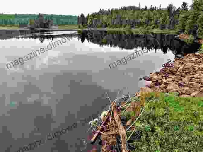 Interfalls State Natural Area, Polk County, Wisconsin Hittin The Trail: Day Hiking Polk County Wisconsin (Hittin The Trail Wisconsin)