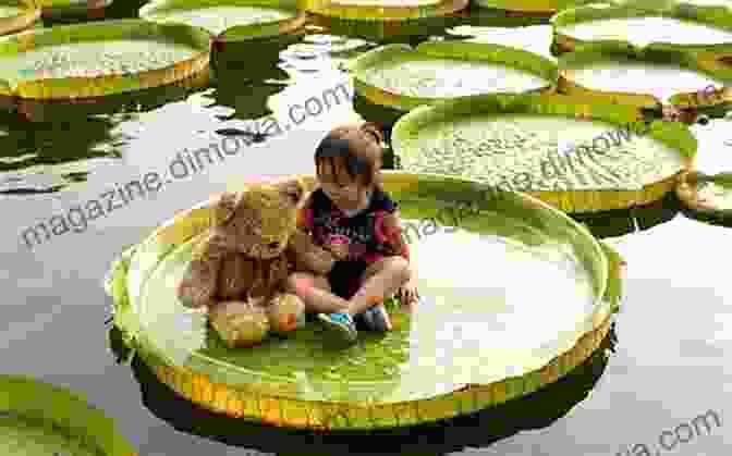 Jimmy And Toby Sitting On A Lily Pad In A Pond Jimmy Meets Toby The Frog