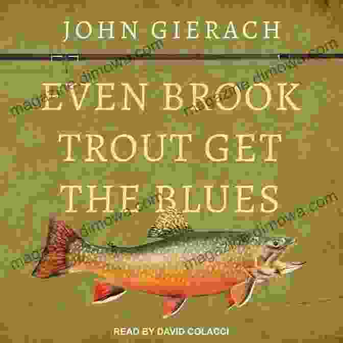 John Gierach Holding A Brook Trout, Book Cover Of 'Even Brook Trout Get The Blues' Even Brook Trout Get The Blues (John Gierach S Fly Fishing Library)