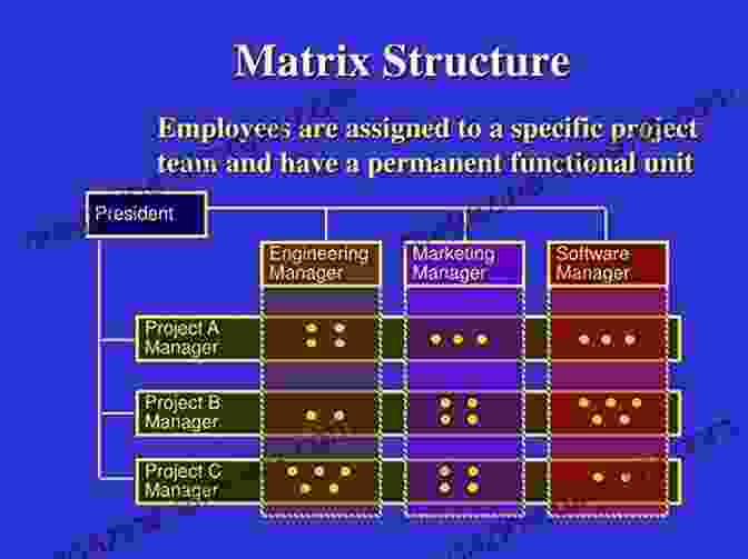 Matrix Decompositions: Revealing The Hidden Structures Of Matrices Undergraduate Matrix Theory And Linear Algebra