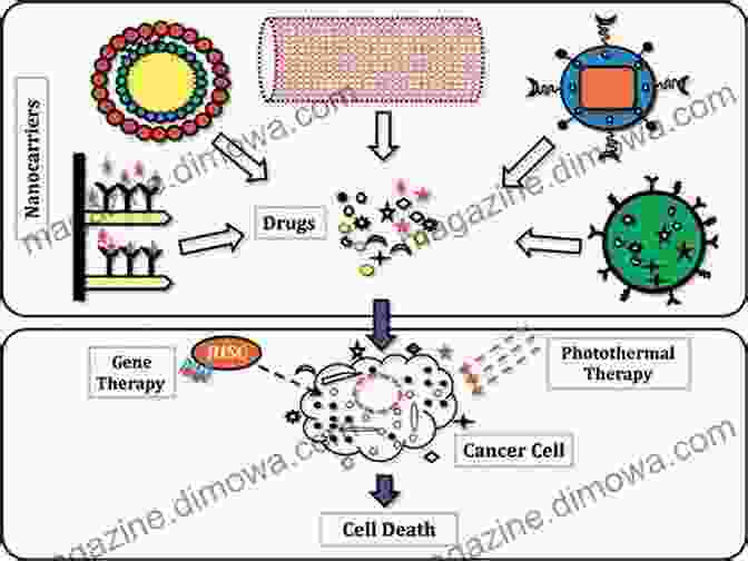 Nanoparticles For Targeted Cancer Therapy Nanomaterials And Their Biomedical Applications (Springer In Biomaterials Science And Engineering 16)