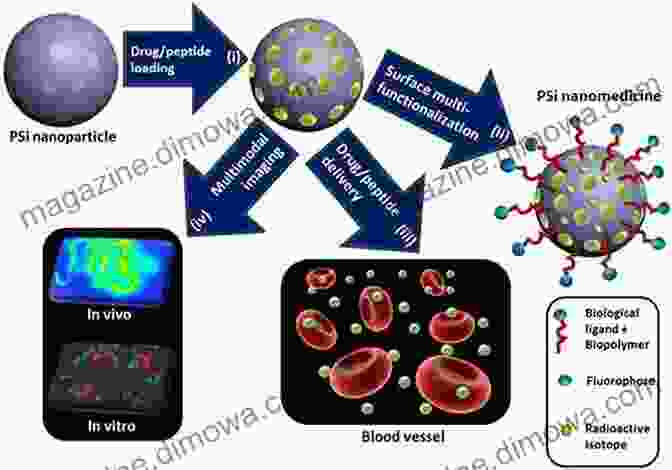 Nanoparticles For Targeted Drug Delivery Nanomaterials And Their Biomedical Applications (Springer In Biomaterials Science And Engineering 16)