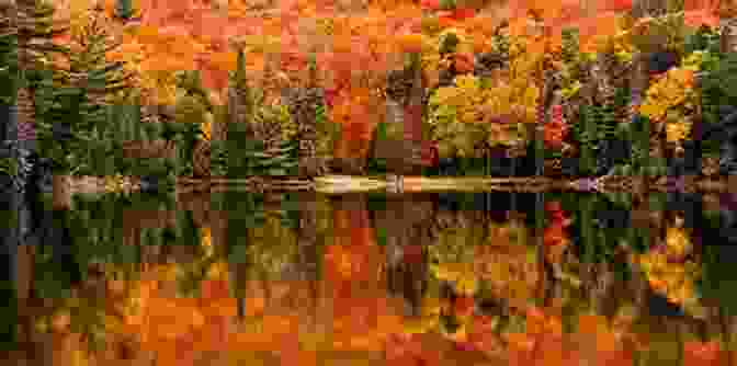 Ontario's Vibrant Autumn Foliage, A Breathtaking Tapestry Of Colors Sampler 9 Ontario In Colour Photos: Saving Our History One Photo At A Time