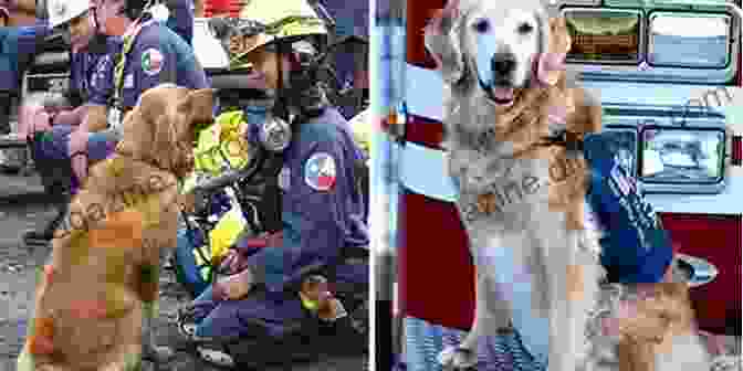 Rex, The Canine Hero, Standing Proudly Alongside The Rescued Children Rex S Wrecks Fire Trucks Jo Macauley