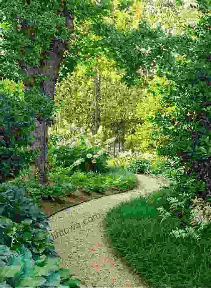 Serene Path Leading Through The Garden Gio S Friendly Garden Joanna Bruyere Cabral