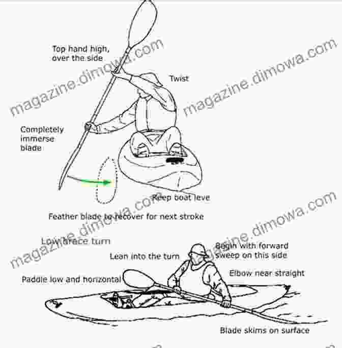 Step By Step Guide To Canoe Kayak Sprint Techniques Unofficial 2024 Olympic Guides: USA Canoe/Kayak Sprint