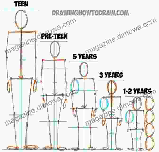 Study Of Human Proportions And Form, Demonstrating The Harmonious Relationships Between Body Parts Base Models A Reference For Figure Drawing: Detailed Professional Reference For Figure Drawing World Renowned Student Guide