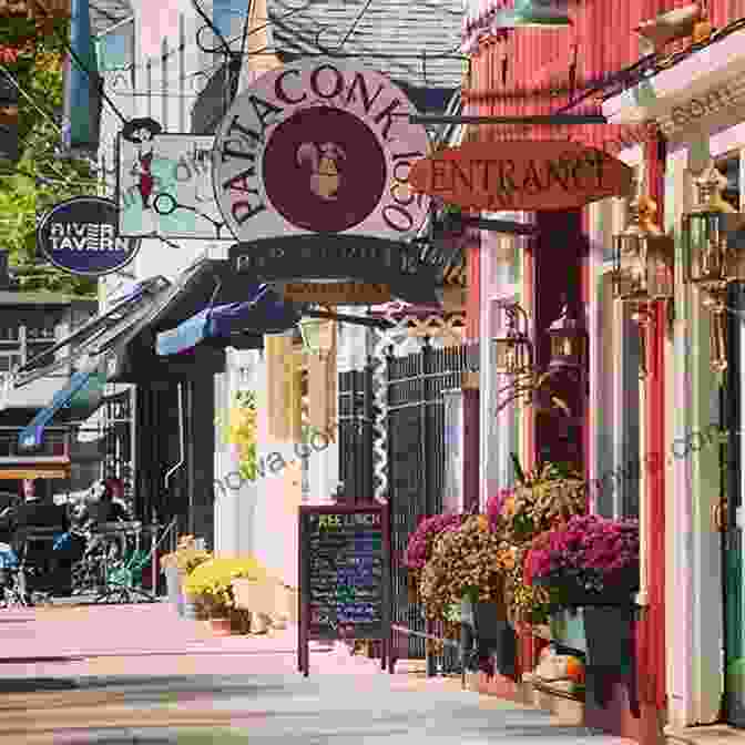 Tree Lined Chapel Street With Charming Shops And Restaurants TEN FUN THINGS TO DO IN NEW HAVEN