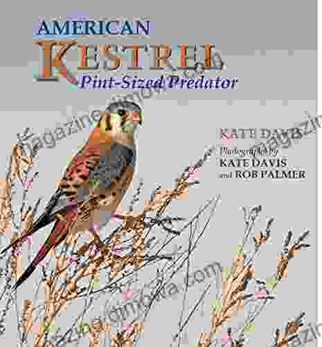 American Kestrel: Pint Sized Predator Kate Davis